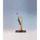 Ichijugiri (with root)