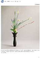 Kisetsu no Shimputai (shimputai works in every season) - Winter, Perennial