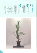 Ikenobo ABC Vol.3 Shoka Denka