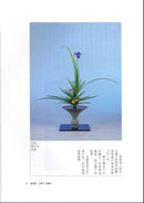 More to Learn RIKKA (Chinese)