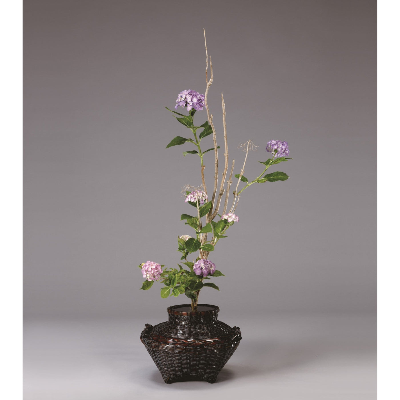 作家物【角谷英明】白磁 牡丹彫鶴首花瓶