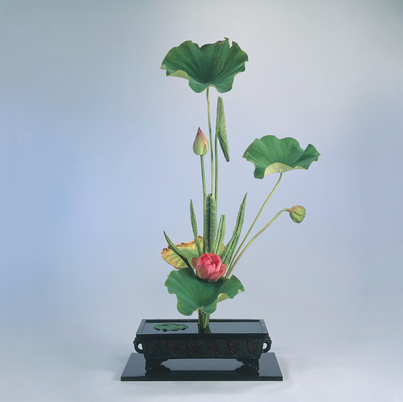 竹筒5本組　花器　華道 花樂：日本華道社