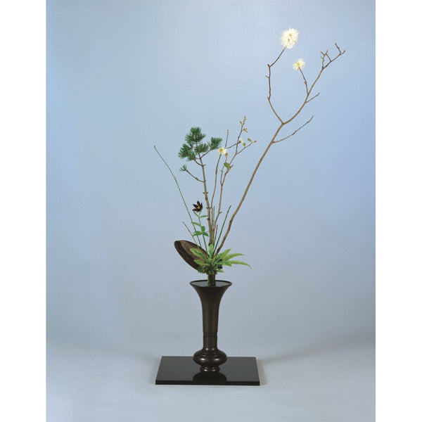 Whispers of Nature: A Seasonal Tatehana in ‘Yosui’