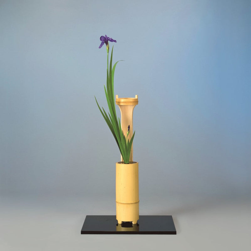 Arranging the Seasons: Iris Flowers