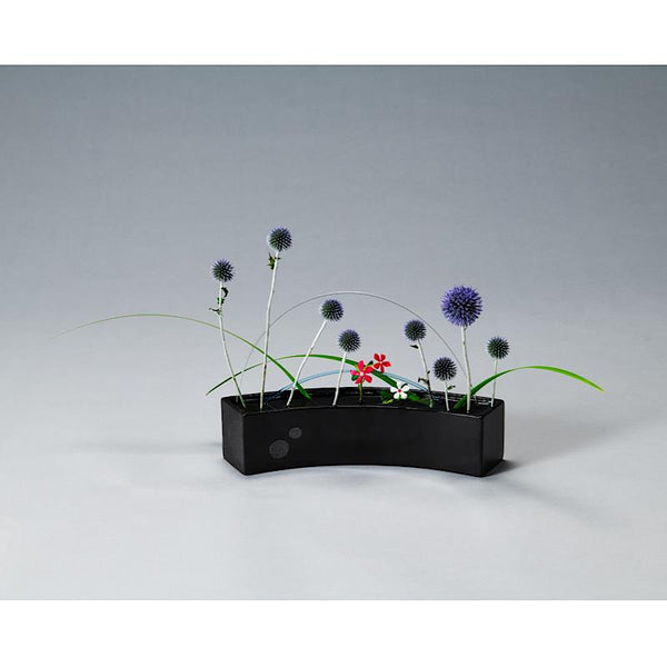 Enjoy the rhythm of flowers