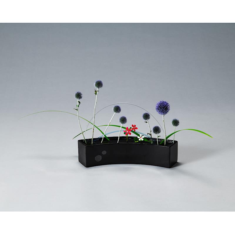 Enjoy the rhythm of flowers
