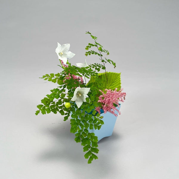 Small Plastic Vase, useful for trial lesson