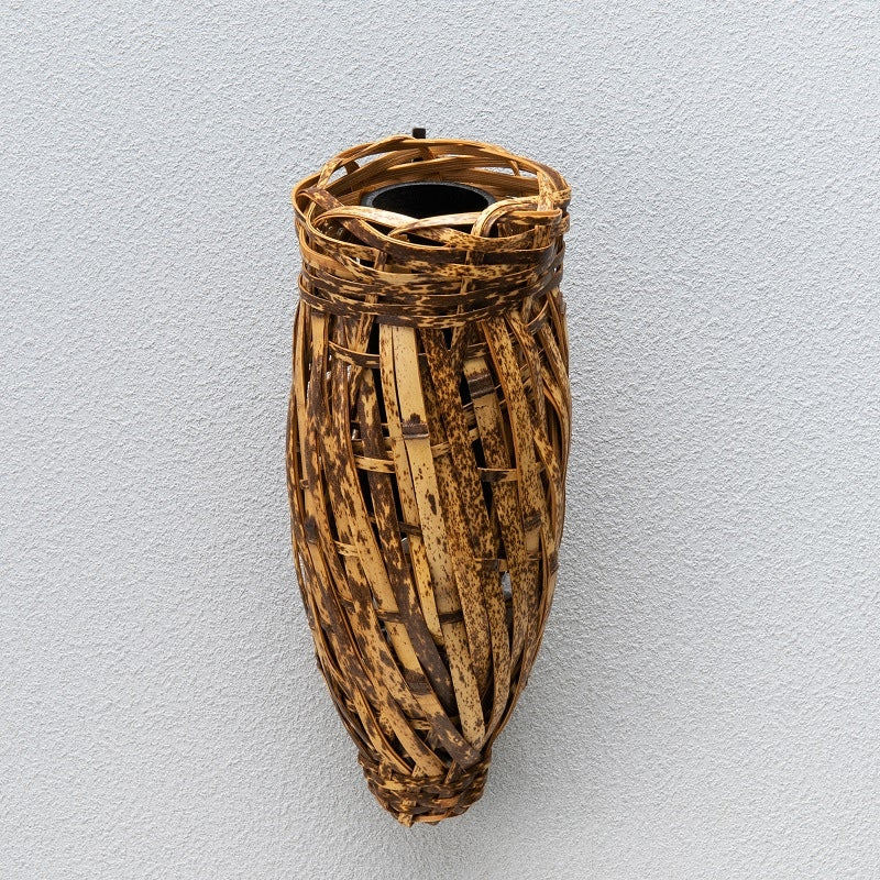 Mukogake Toratake-minonushi (bagworm)