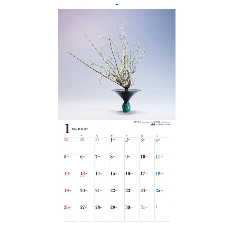 2025 IKENOBO Calendar B (English Edition)