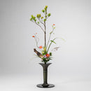 Yoho Shobu Koseido (Bronze)