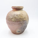 Shigarakiyaki TS-324