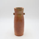 Shigarakiyaki TS-267