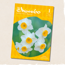 The Ikenobo (Yearly Subscription)