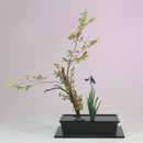 Take Moyou Sunabachi