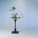 Shiki (four seasons)