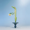 Reihou (Premium Color)