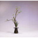 Ogencho Senmyo-gonomi (high grade)