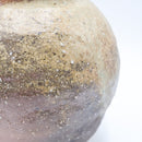 Shigarakiyaki TS-324