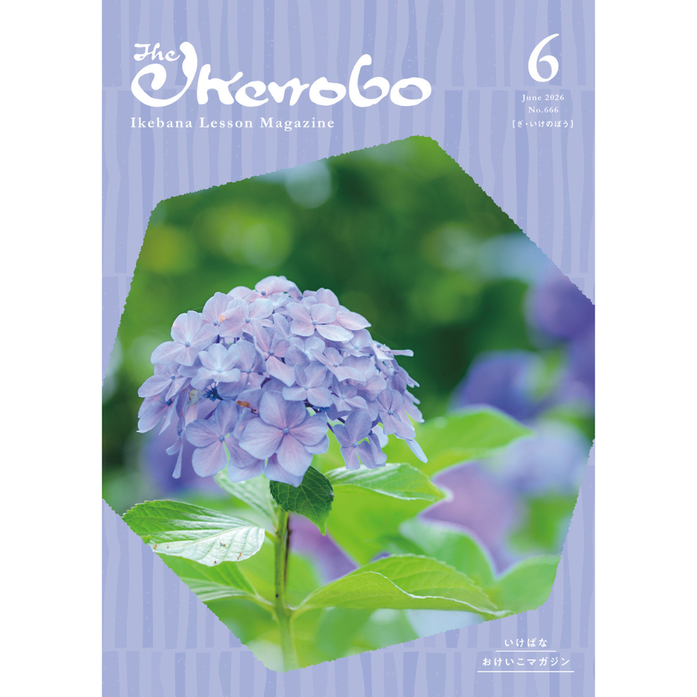 新感覚いけばな くらしに詩を呼ぶ IKEBANA today Japanese Ikebana (9784805320365) - Tuttle Publishing