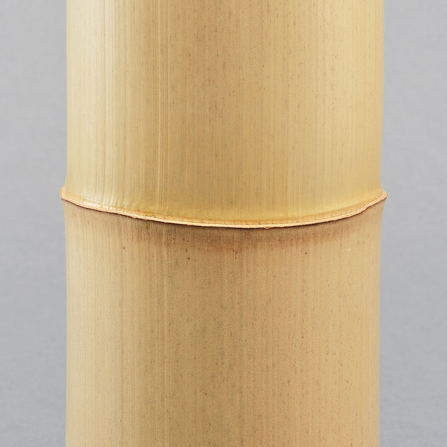 その他 bamboo Zundo