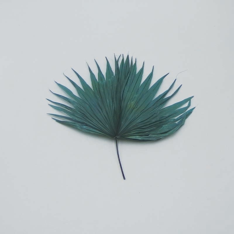 Mini Palm Leaf