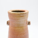 Shigarakiyaki TS-267