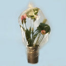 花材保鮮塑膠布