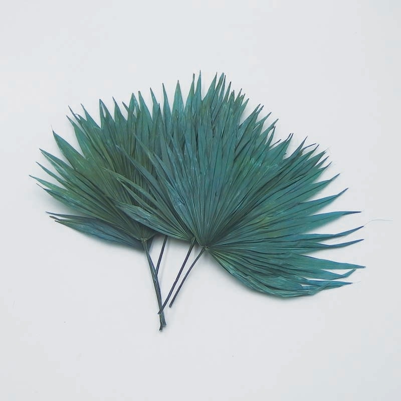 Mini Palm Leaf