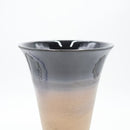 Shigarakiyaki FT-919