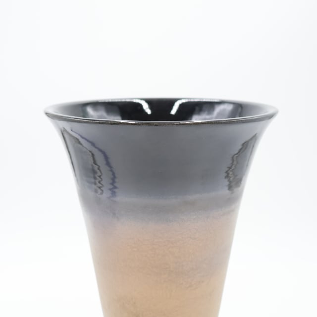 Shigarakiyaki FT-919