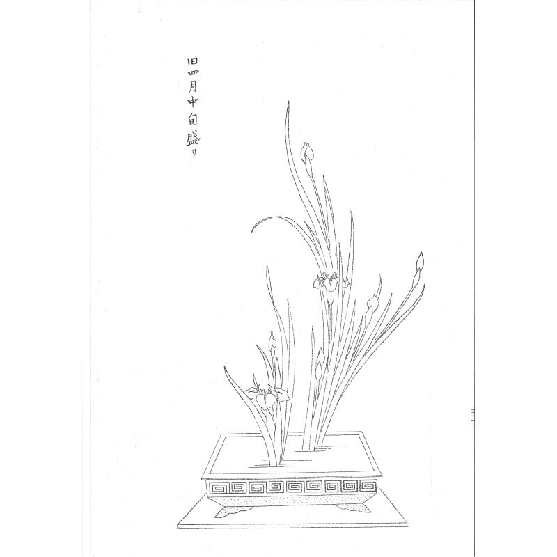 Hana Kagami Vol. 2 Shiki Kakitsubata no Maki