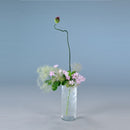 Nekko Net (New Colors)