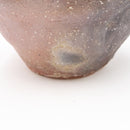 Shigarakiyaki TS-324