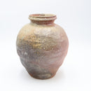 Shigarakiyaki TS-324