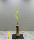 SU-5 Daffodil Vase