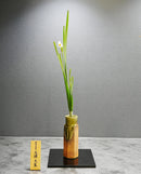 SU-2 Daffodil Vase