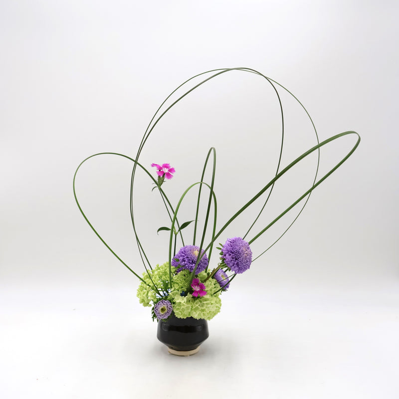 ENISHI Pot (Black)