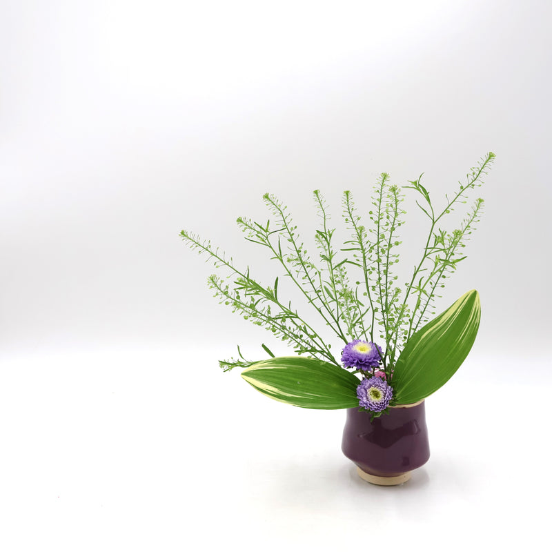 ENISHI Pot (purple)
