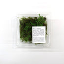 Preserved moss: Feather moss