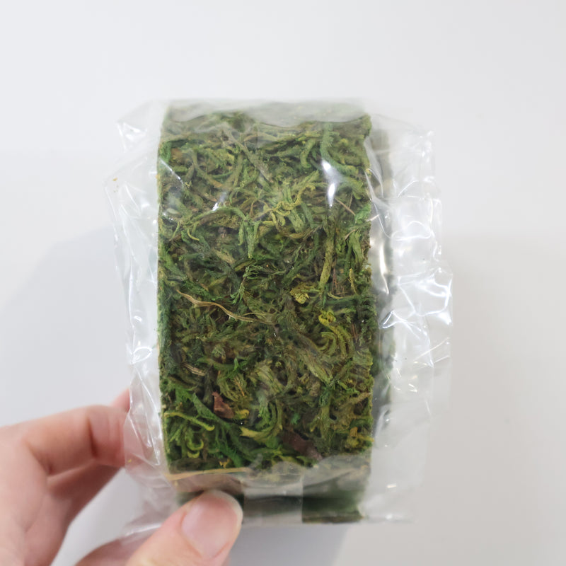 苔蘚片
