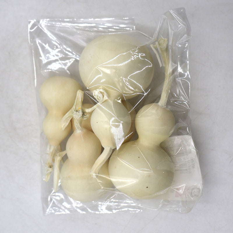 Mini Gourd – Off-White (Set of 5)
