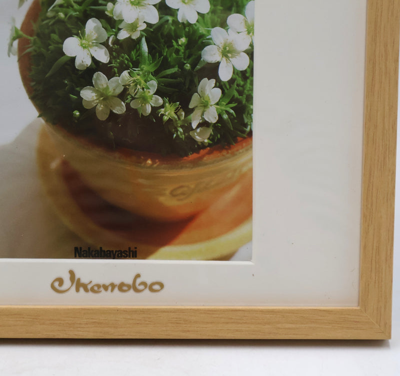 Ikenobo Photo Frame 2L – White wood