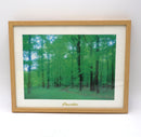 Ikenobo Photo Frame A4