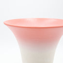 Shigarakiyaki FT-944