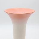 Shigarakiyaki FT-932