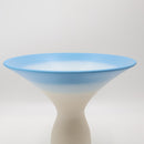 Shigarakiyaki FT-898