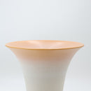 Shigarakiyaki FT-946