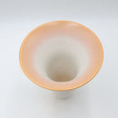 Shigarakiyaki FT-946