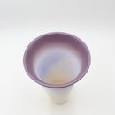 Shigarakiyaki FT-909