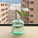 MADO Bud Vase – Ice Green / Diamond Pattern